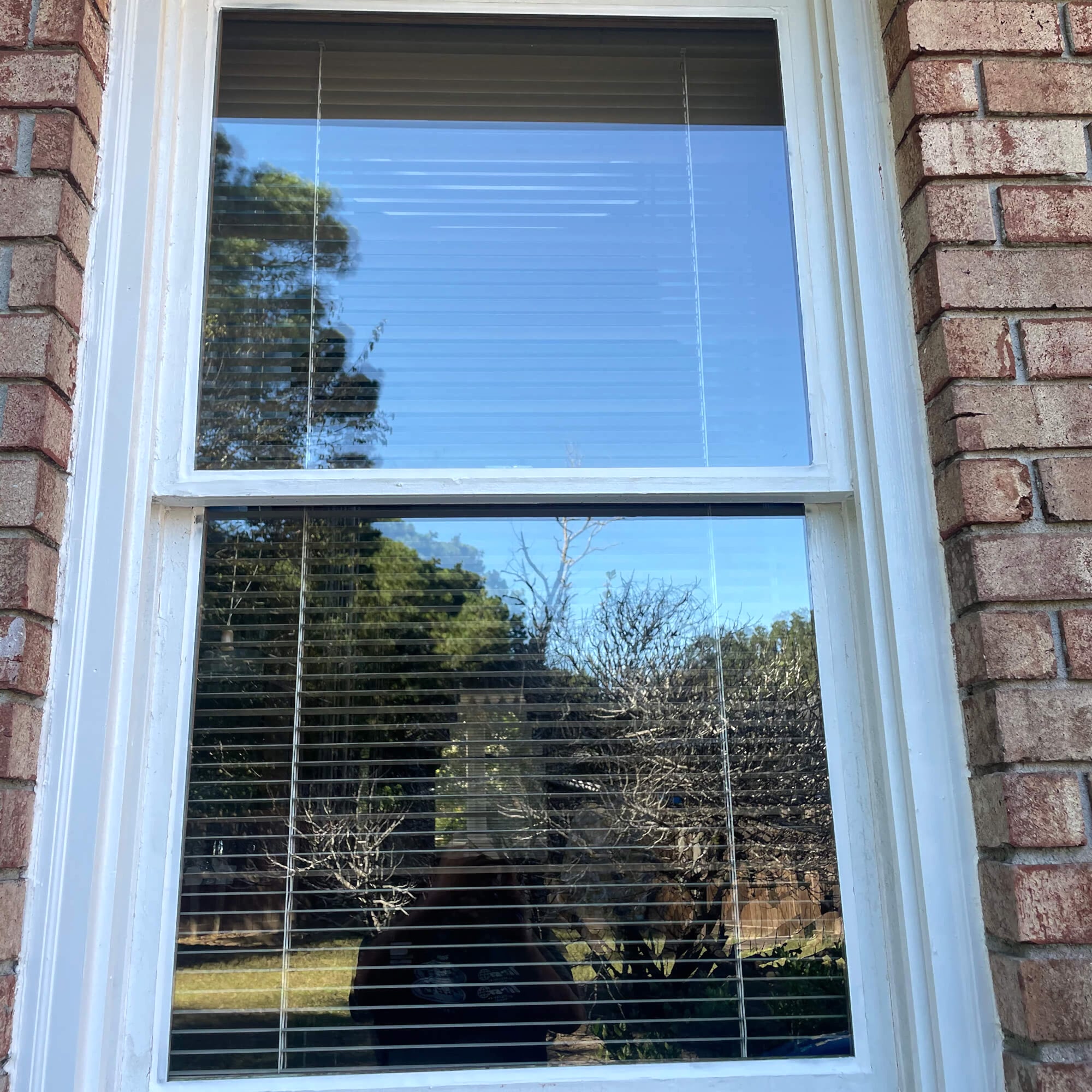 Insulated double pane glass window